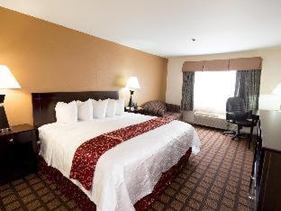 Best Western Oakbrook Inn Oakbrook Terrace Quarto foto